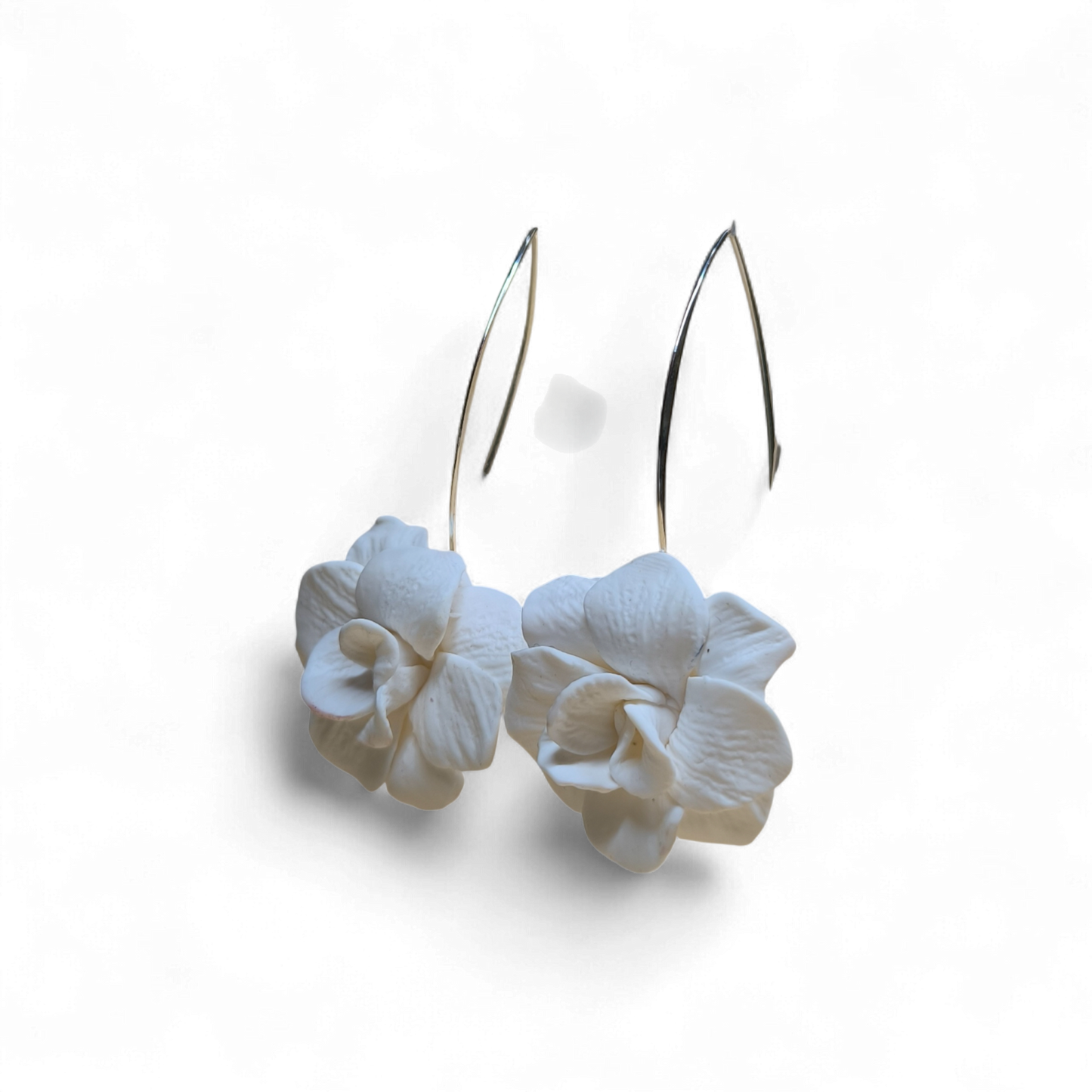 Velvet Poppy