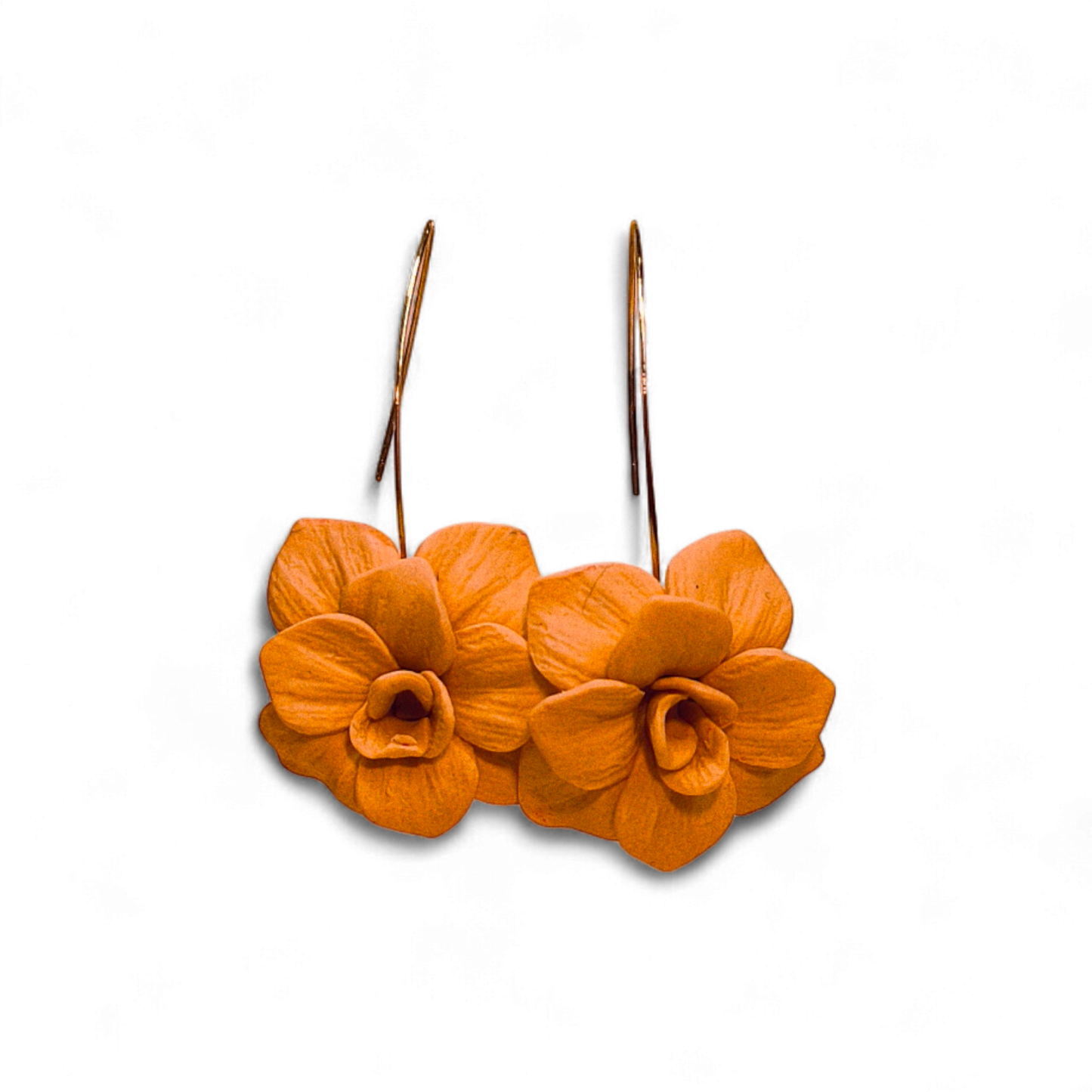 Velvet Poppy