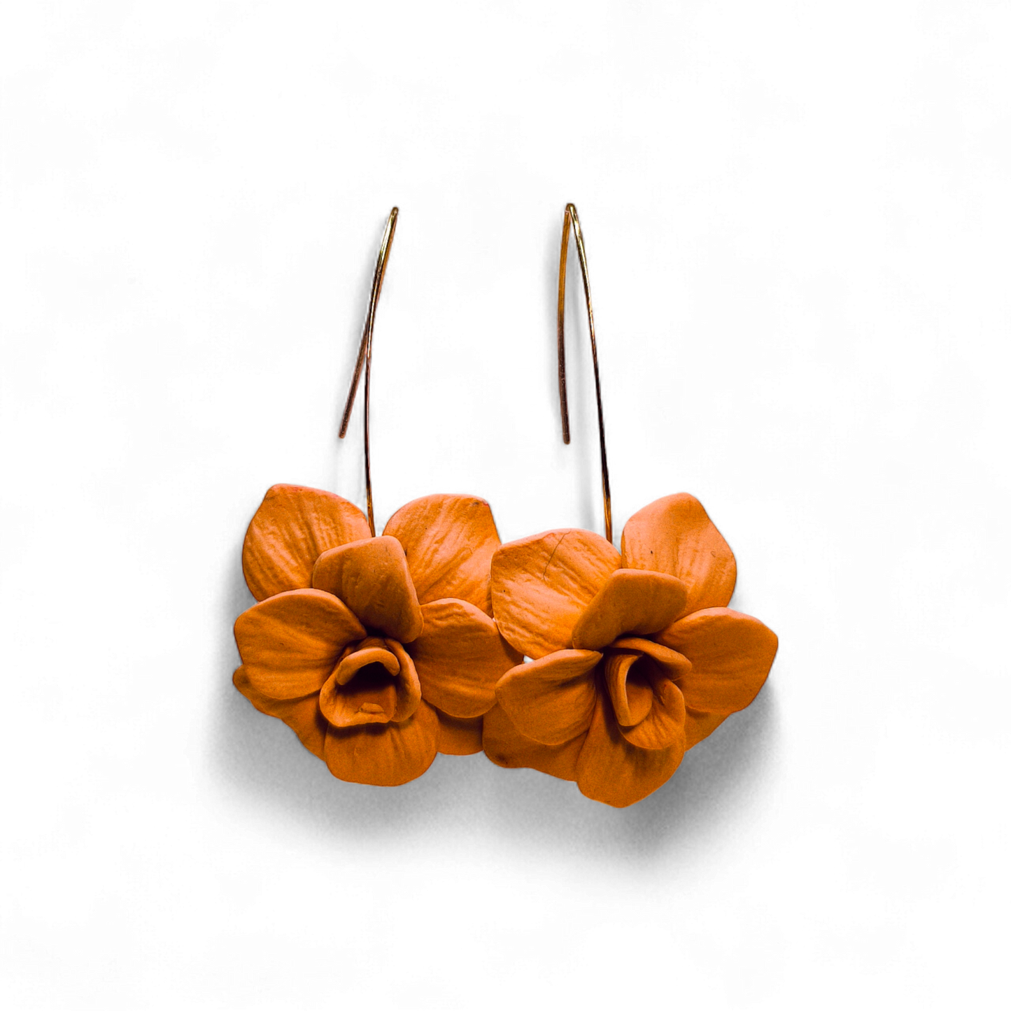 Velvet Poppy