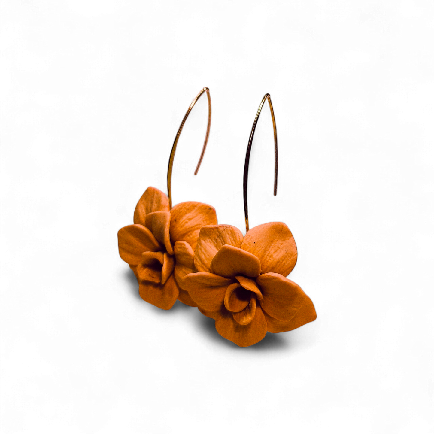 Velvet Poppy