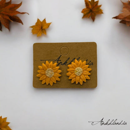 Daisy Pop