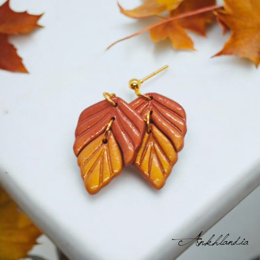 Autumn Forest
