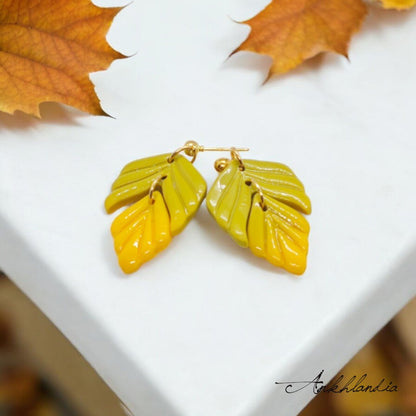 Autumn Forest