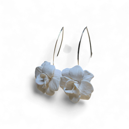 Velvet Poppy