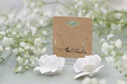 Hydrangea - Wedding